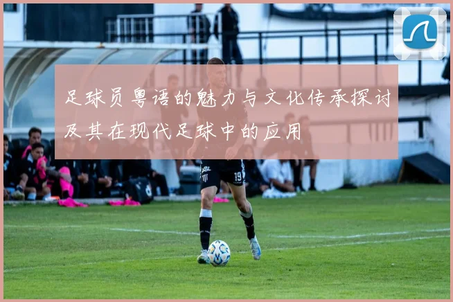 足球员粤语的魅力与文化传承探讨及其在现代足球中的应用