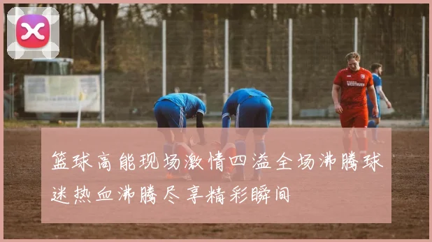 篮球高能现场激情四溢全场沸腾球迷热血沸腾尽享精彩瞬间