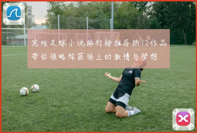 完结足球小说排行榜推荐热门作品带你领略绿茵场上的激情与梦想