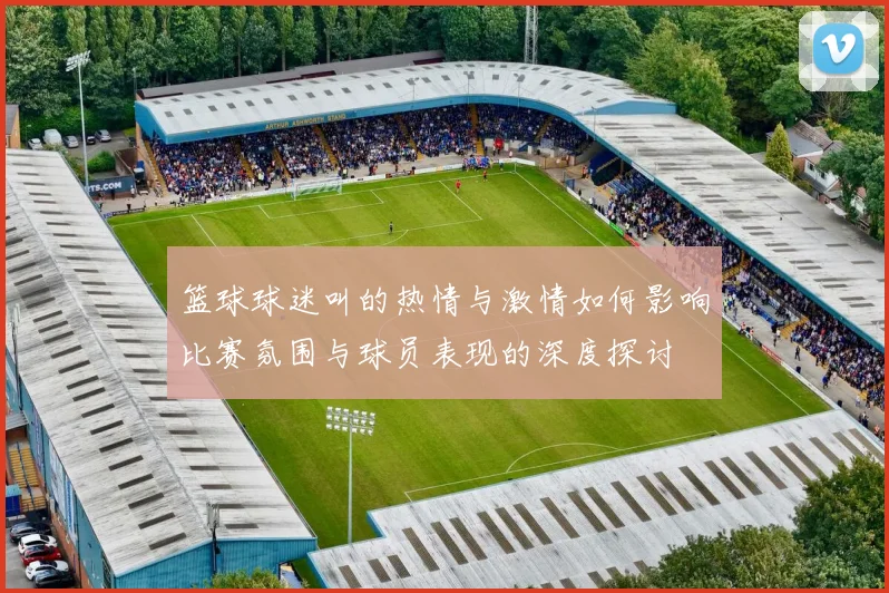 篮球球迷叫的热情与激情如何影响比赛氛围与球员表现的深度探讨
